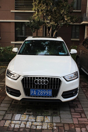 ��ɫ�µ�����