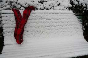 ѩ������