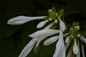 ��������������