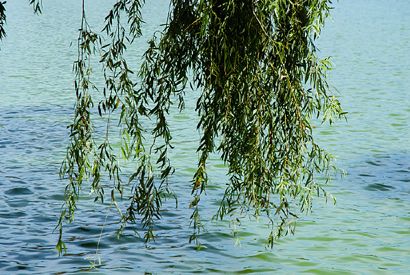 ����֮��