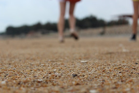 ����ɳ��