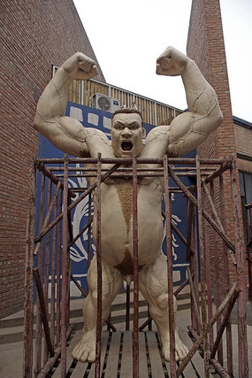 �ź�������