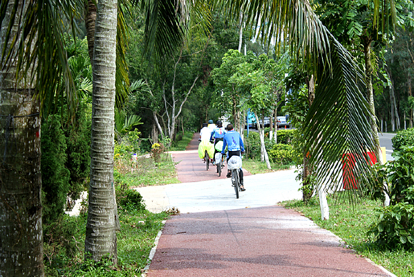 ���������г�