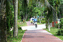 ���������г�