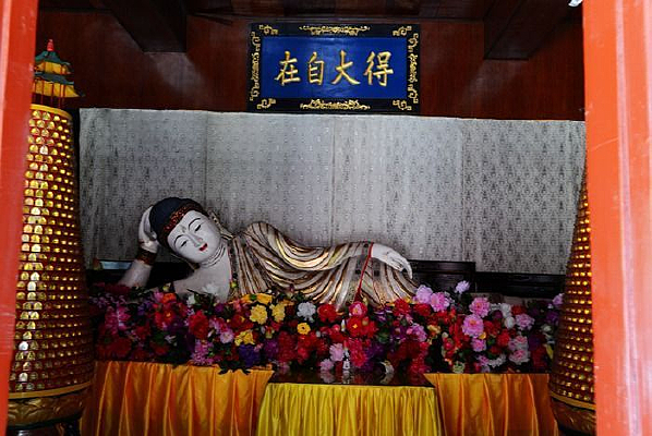 ����Ĳ��������