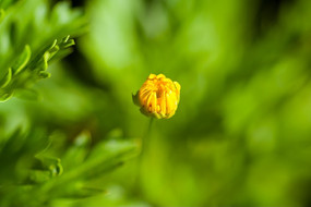 �ջ��Ļ���