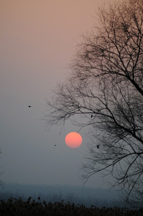 ���տ���