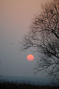 ���տ���