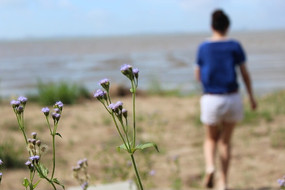 Ů�����뺣