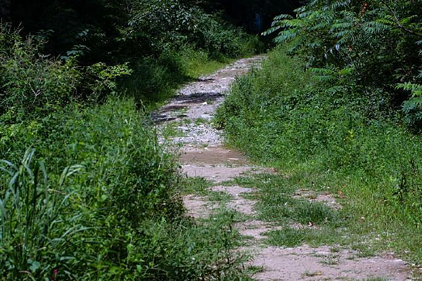 ������·