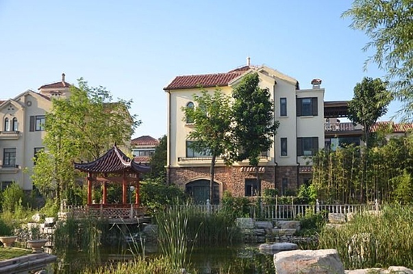 �ߵ������ھ�