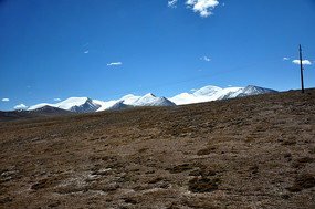 �ű�������