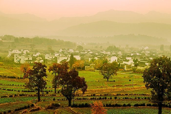 ������԰����