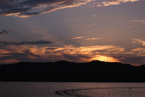 ������������