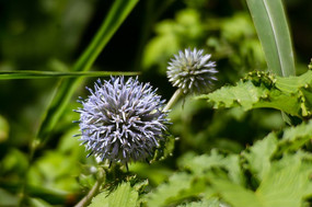 ��⬻�����