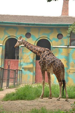 ��ۻż�㶯��