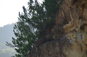 �����ϵ���