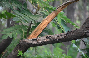 ���ѵ���