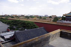 �ʹ��Ž���Ⱥ