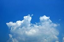 ��������ͼ