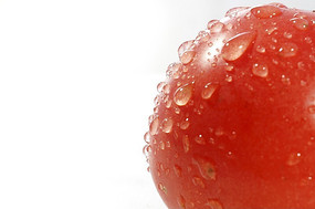 �������ֲ�