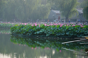 ����д��