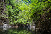 ����һ��