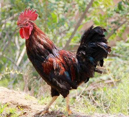 Ư���ĺ칫��