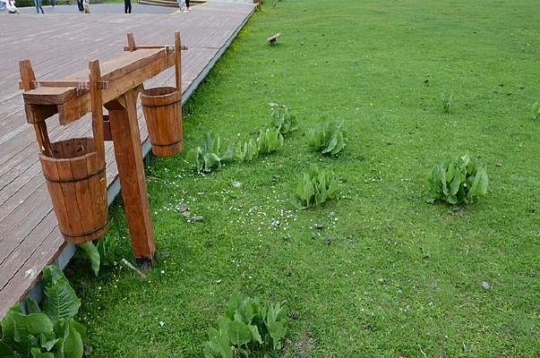 ɭ���������Ͱ