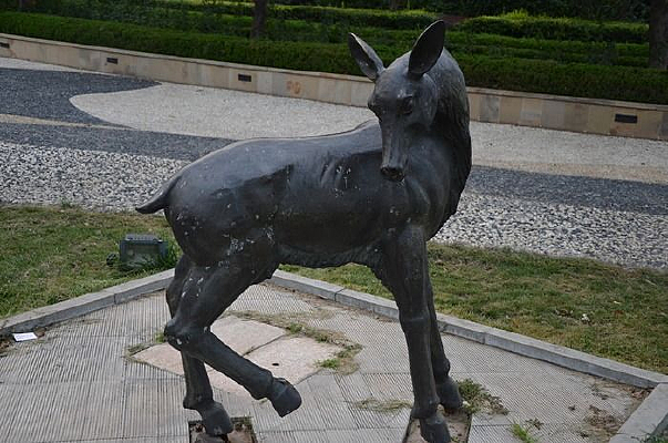 ���۵���ѱ¹