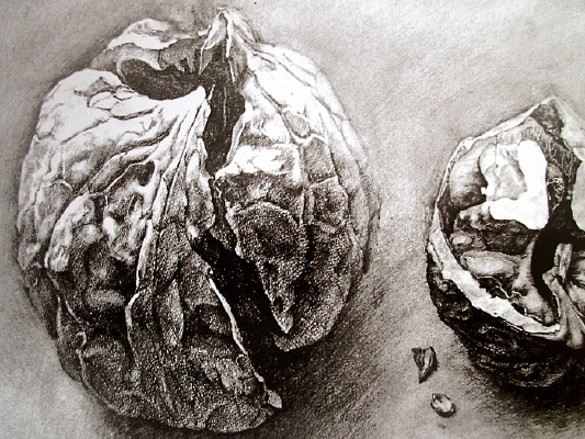 �������