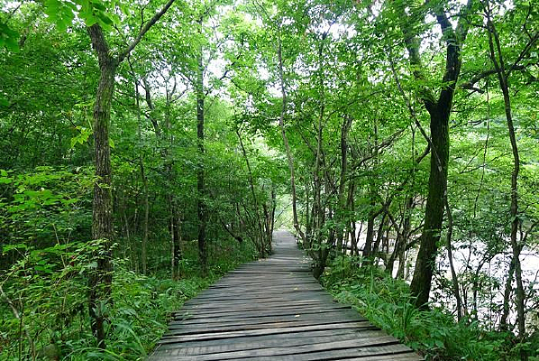 ����կջ��