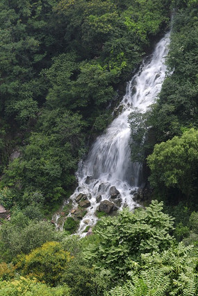 �����ٲ�