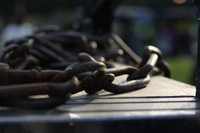 �����µľ�����