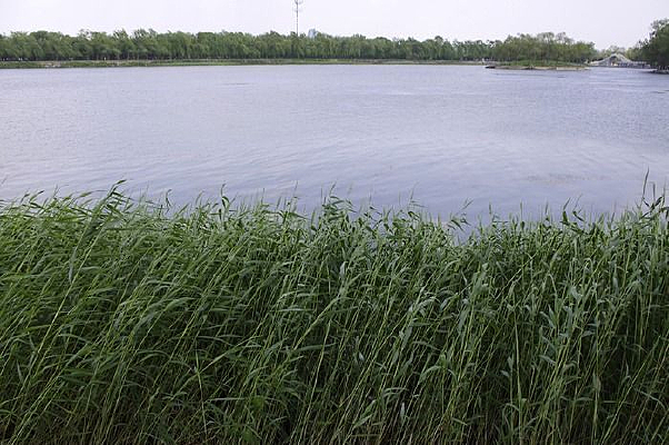 ������«έ