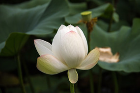 �뿪������