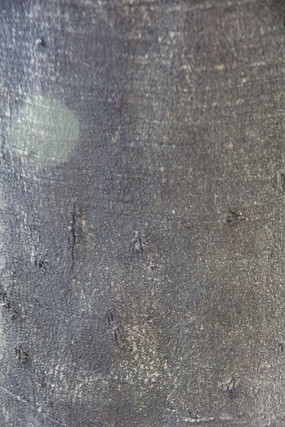 ���ָ����ı�