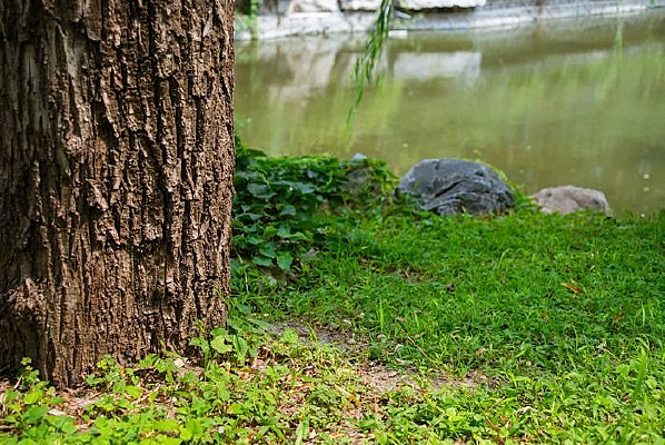 �����µ����