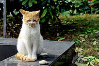 ������è