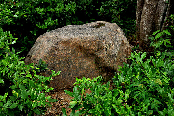 ��԰���ʯͷ