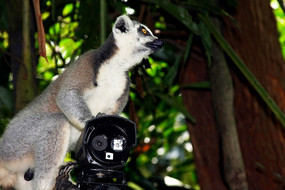 ����һ������