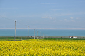 �ຣ�Ͳ���