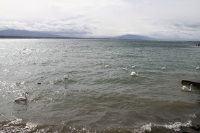 ��ʿ�����ߺ�