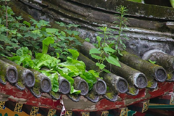 ���ݵ��ݶ�