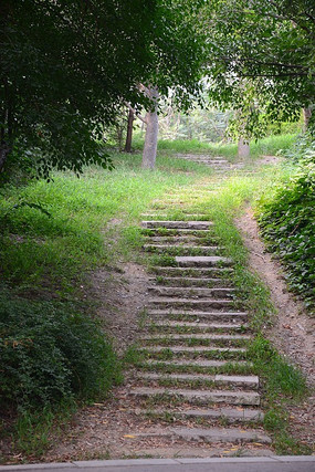 ����̨��