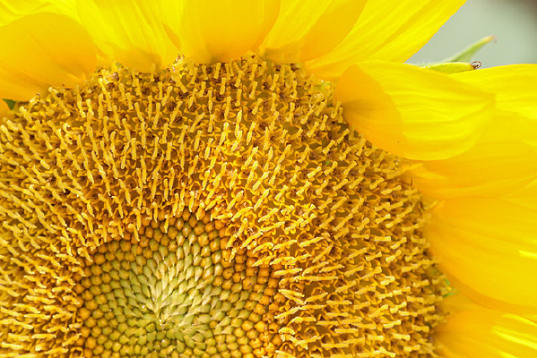 ΢�����տ�