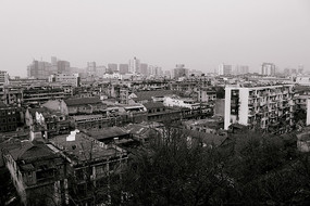 ����Ϸ���