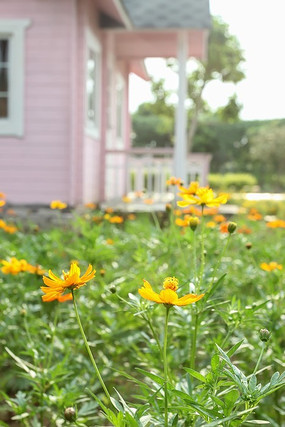 ����С��