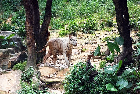 Ұ�����ϻ�