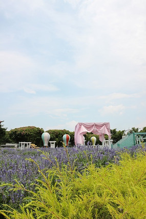 ��ɫС����